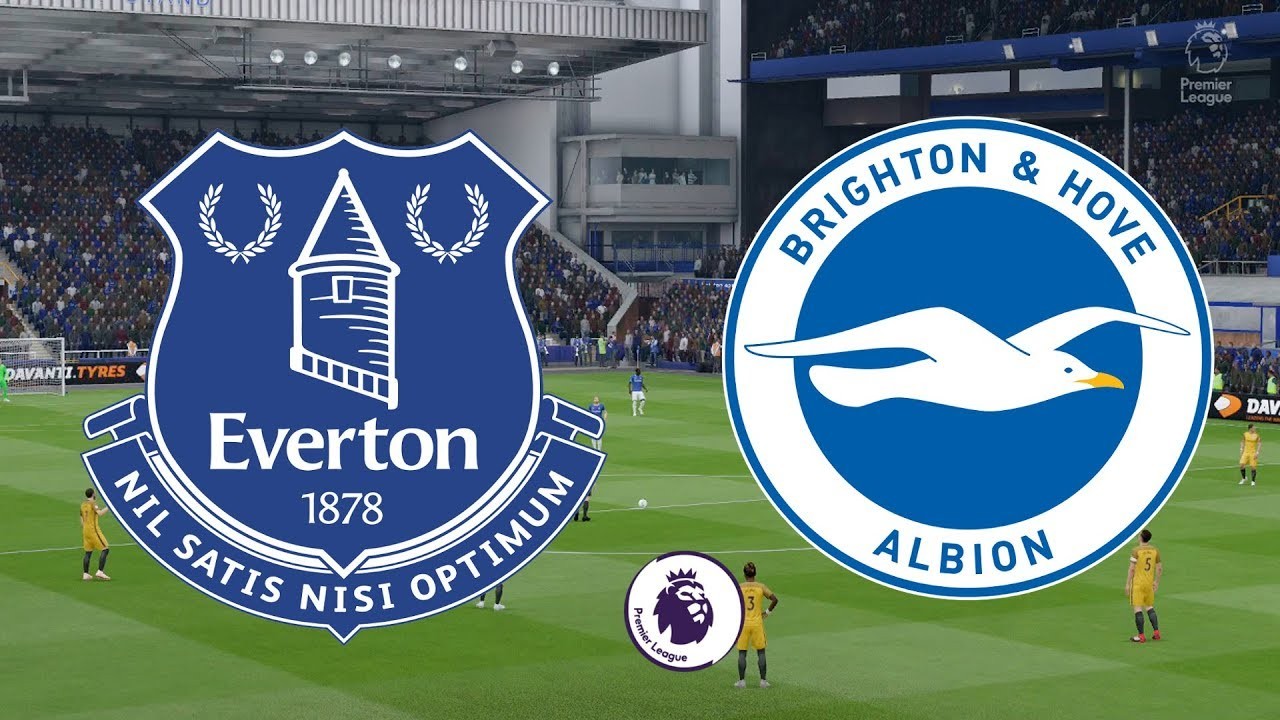 11BET Everton vs Brighton &amp; Hove Albion  – hôm nay 11/01/2020