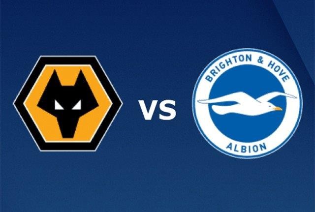 11BET Tip bóng đá Wolves vs Brighton – 22h00 07/03/2020