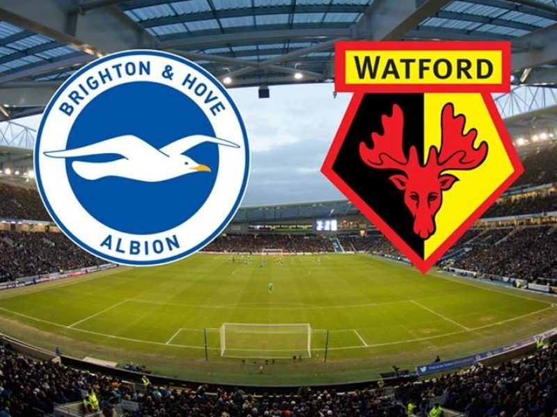 11BET Soi kèo Brighton vs Watford  – hôm nay 09/02/2020