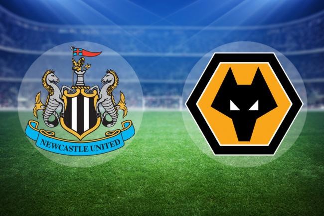 11BET Soi kèo Newcastle United vs Wolverhampton – hôm nay 27/10/2019